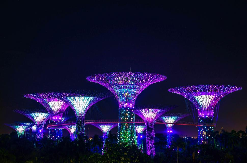 Free Image of Night Time View of the Gardens by the Bay 