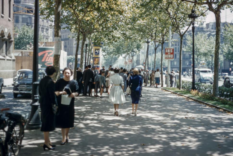 Free Image of Group of People Walking Down Street Beside Trees 