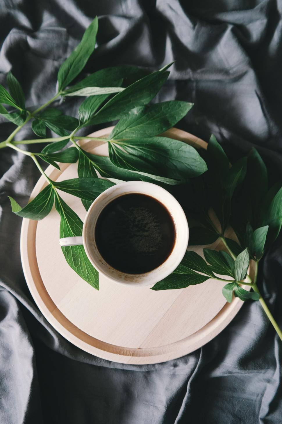 Free Image of A Cup of Coffee and Green Leaves 