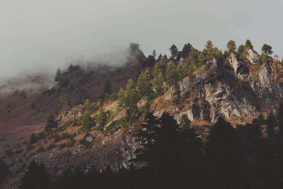 Free Image of Tall Mountain With Trees 