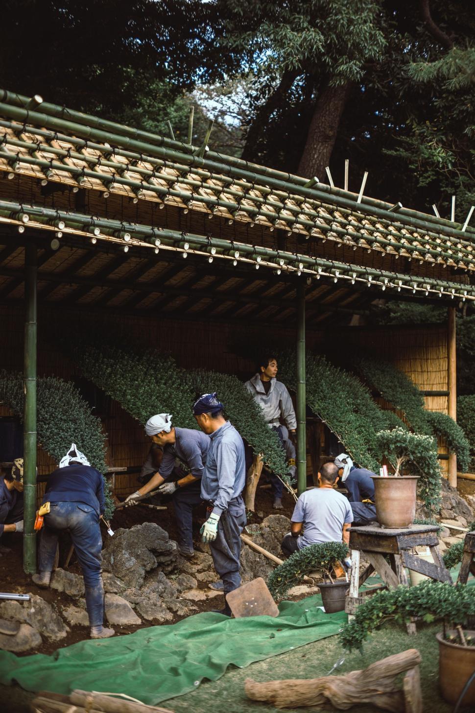 Free Image of Men Working Together in a Garden 