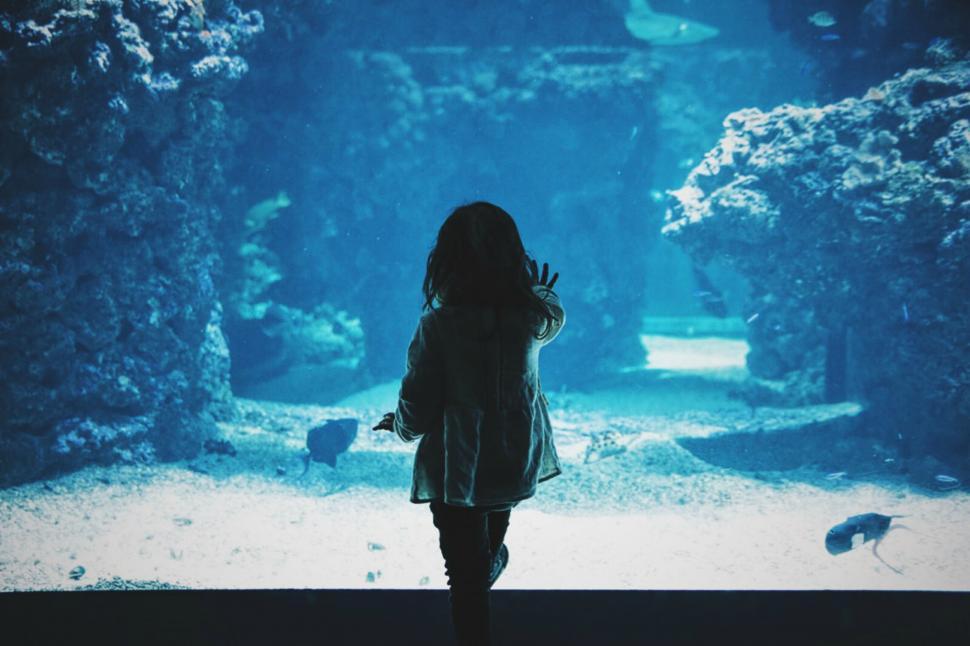 Free Image of Woman Standing in Front of Large Aquarium 