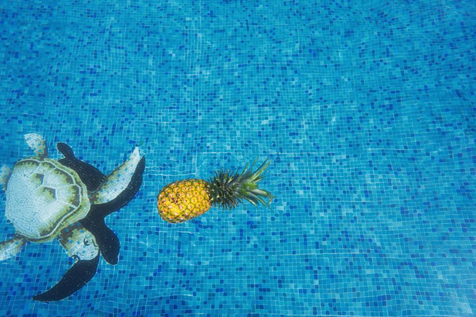 Free Image of Turtle Swimming Beside Pineapple in Pool 