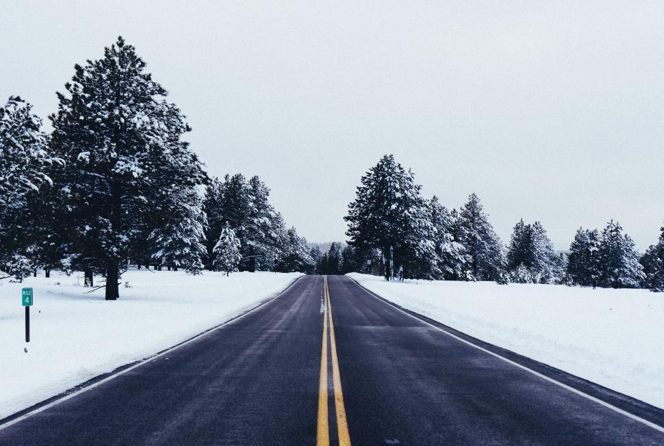 Free Image of Snow-covered Road With Trees 