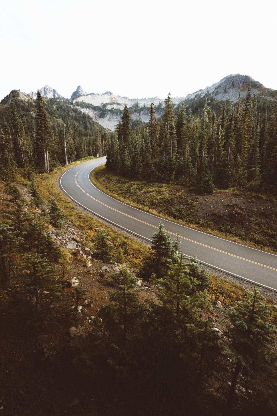 Free Image of Winding Road Through Forest 