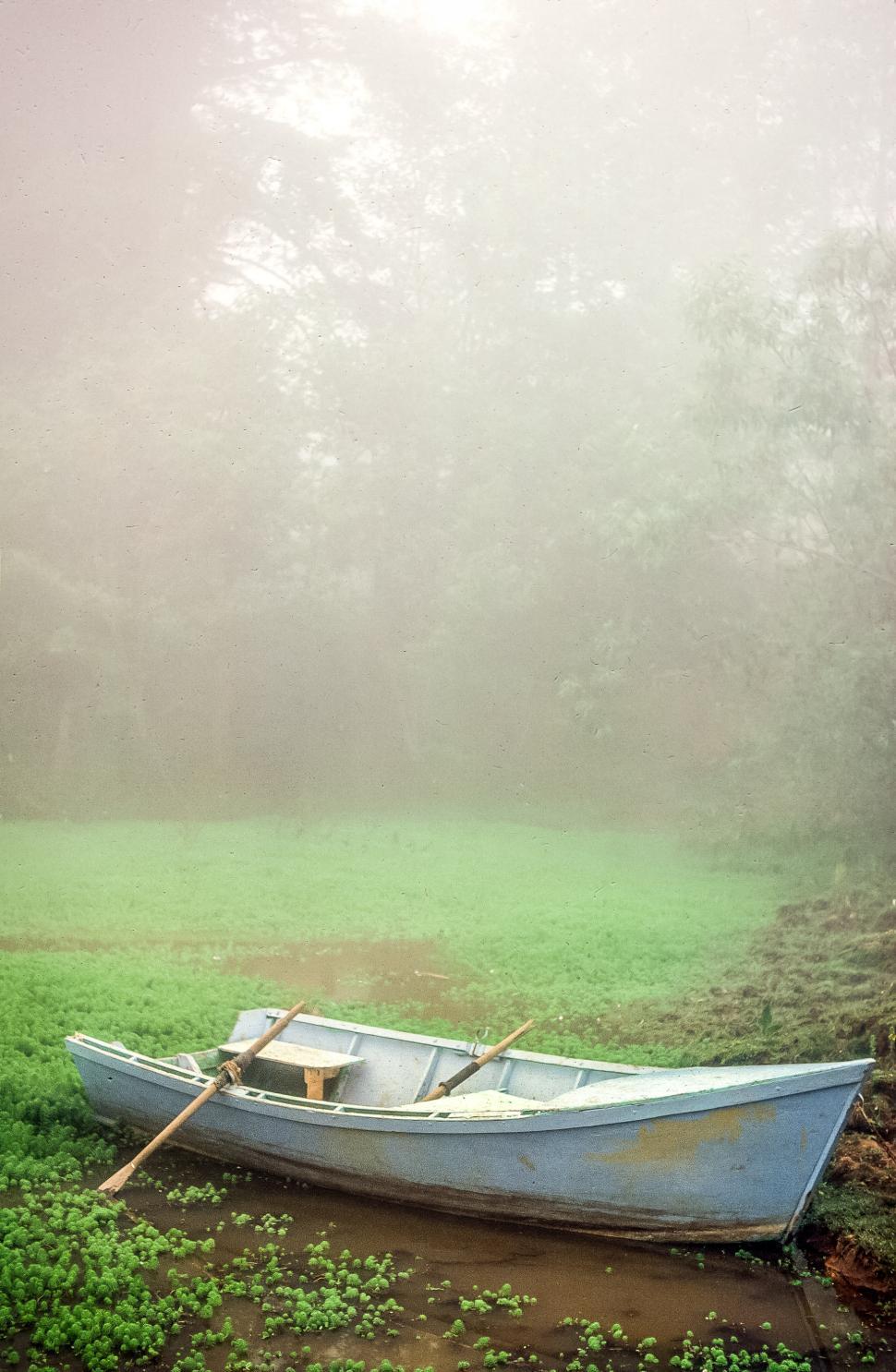 Free Image of Rowing Boat 
