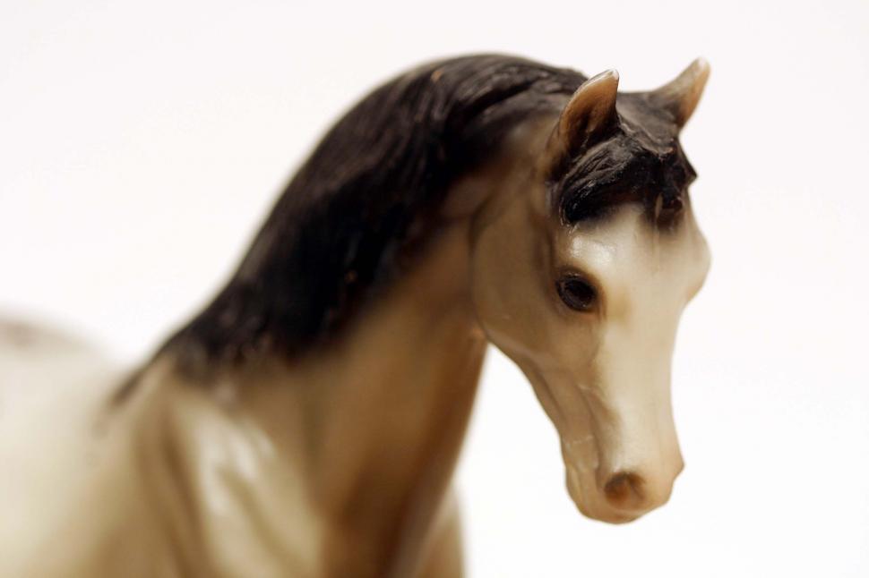 Free Image of horse toy head animal plastic eyes sculpture statue figure figurine 