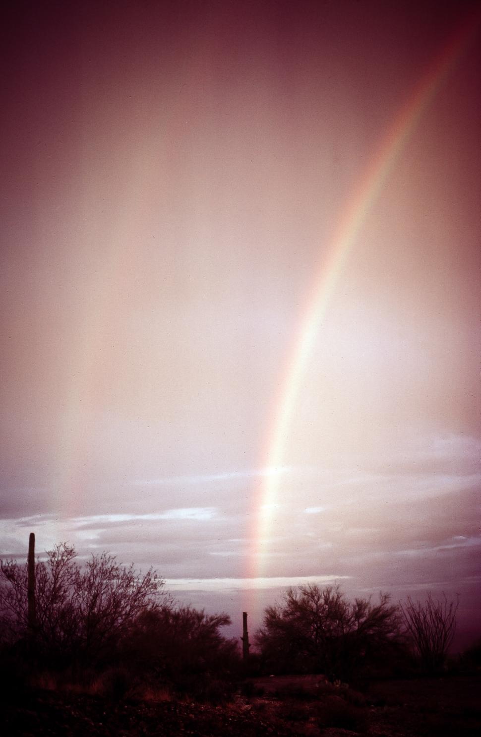 Free Image of Rainbow and silhouette of Saguaro Cactus 