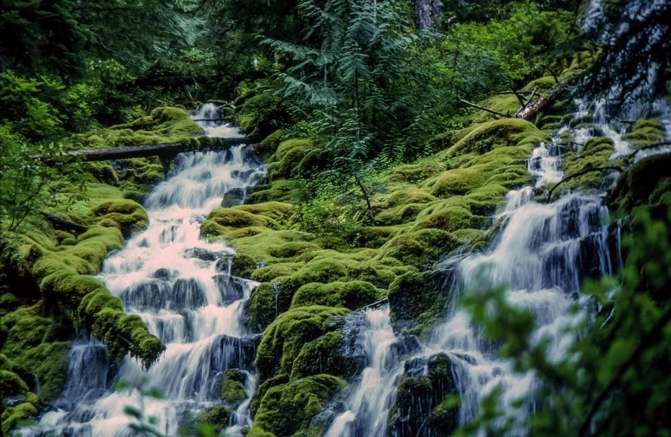 Free Image of Lush Waterfalls 