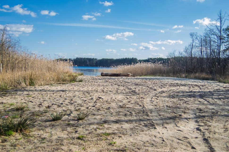 Free Image of Sandy shore of a forest lake with reeds in the background of blue sky with clouds 