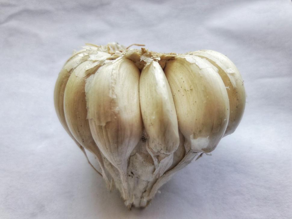 Free Image of Garlic cloves and bulb closeup  
