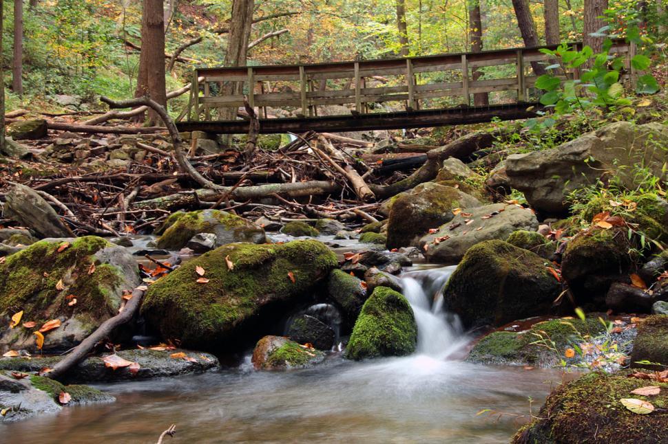 Free Image of Wooden Bridge and Small Cascade Waterfall 