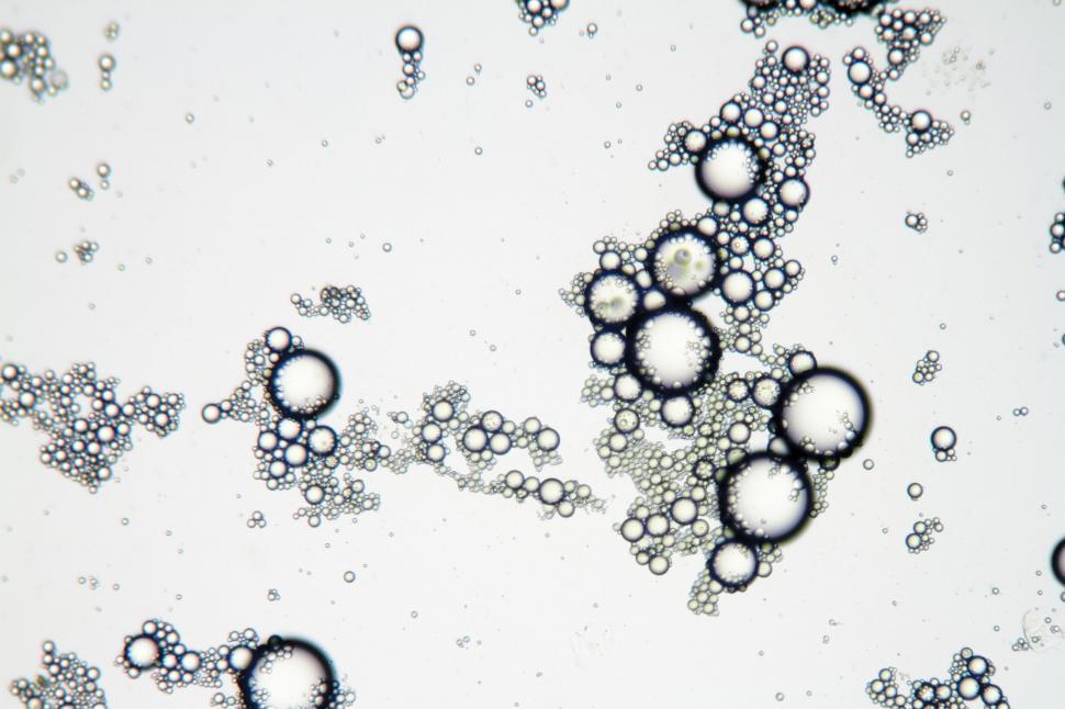 Free Image of Small bubbles 