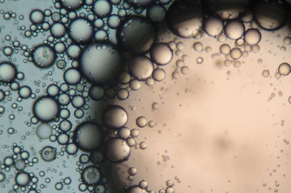 Free Image of Bubbles under the microscope 