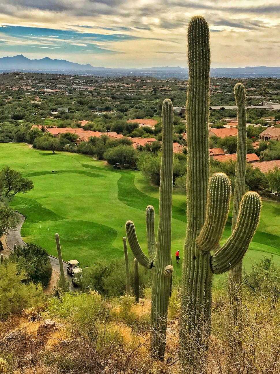 Free Image of Dramatic Golf Hole in Tucson, Arizona  