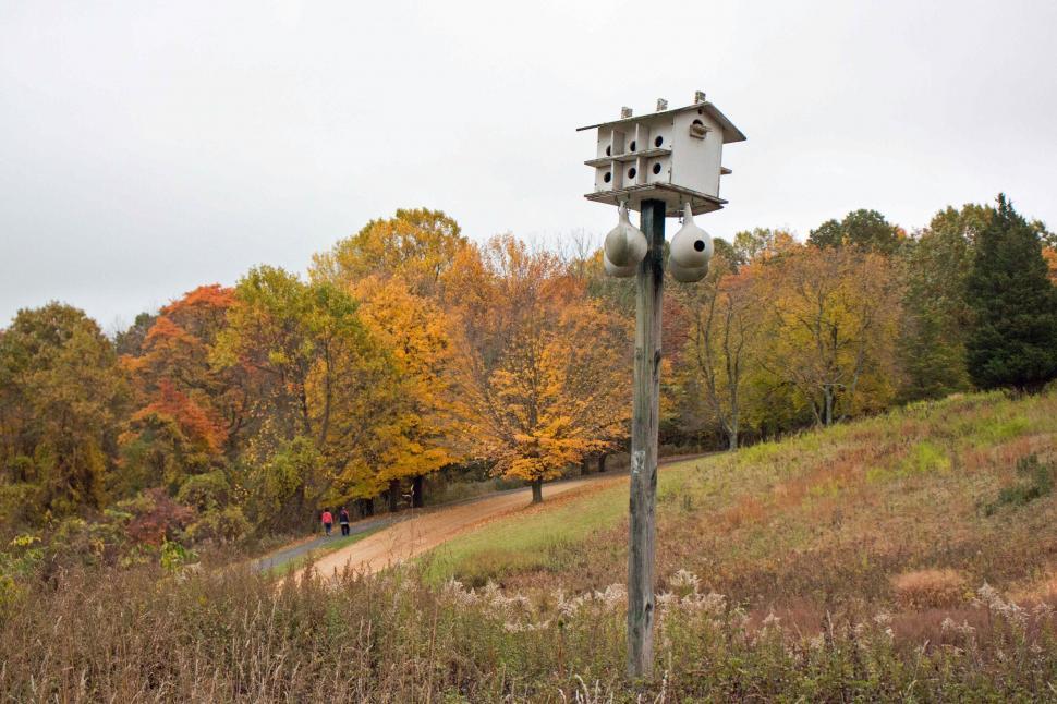 Free Image of Bird House in Autumn 