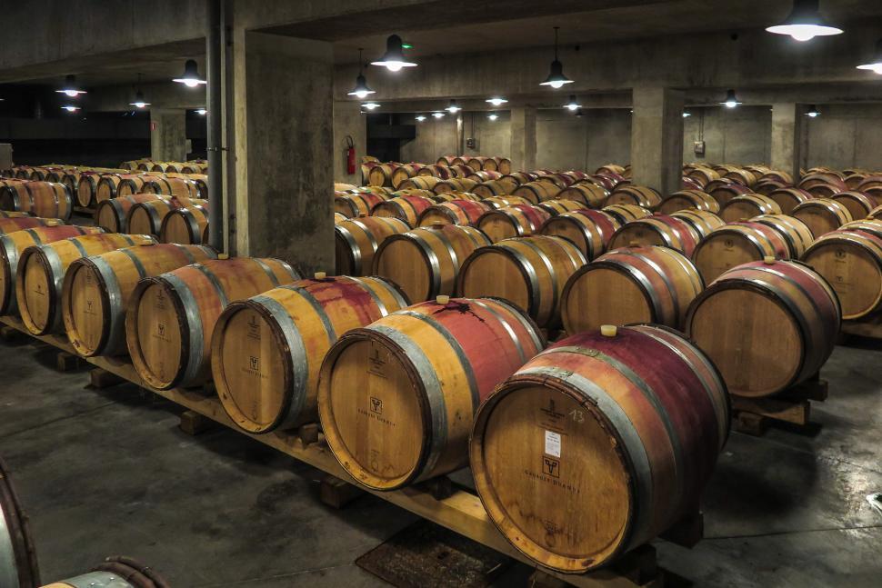 Free Image of Wine barrels 