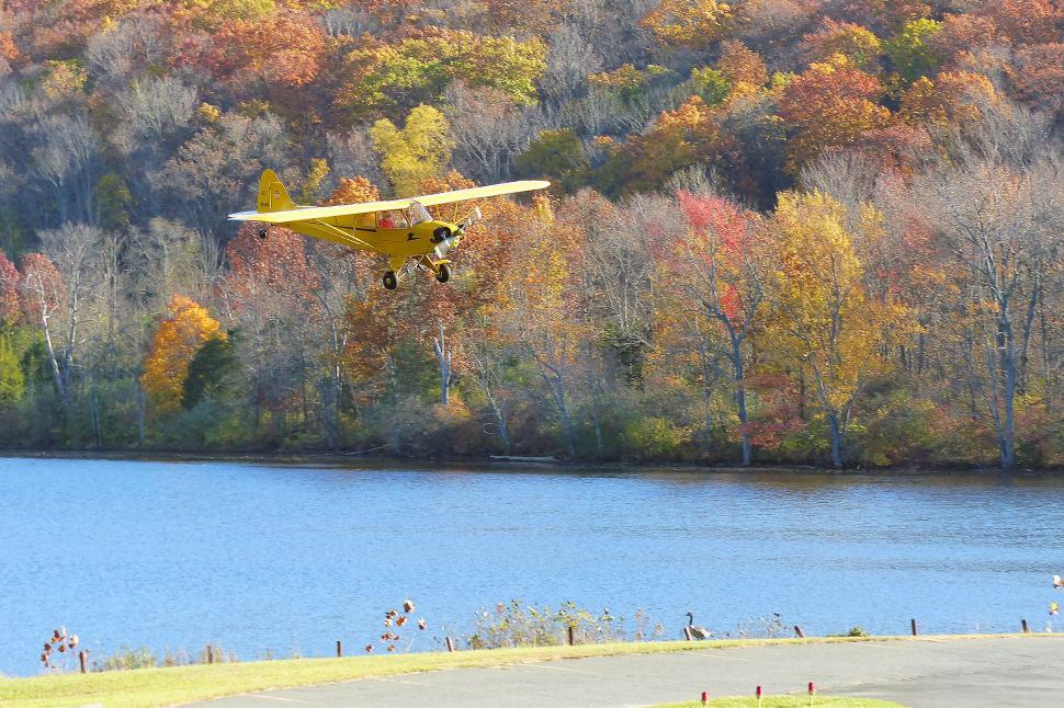 Free Image of Piper Cub In For Landing 