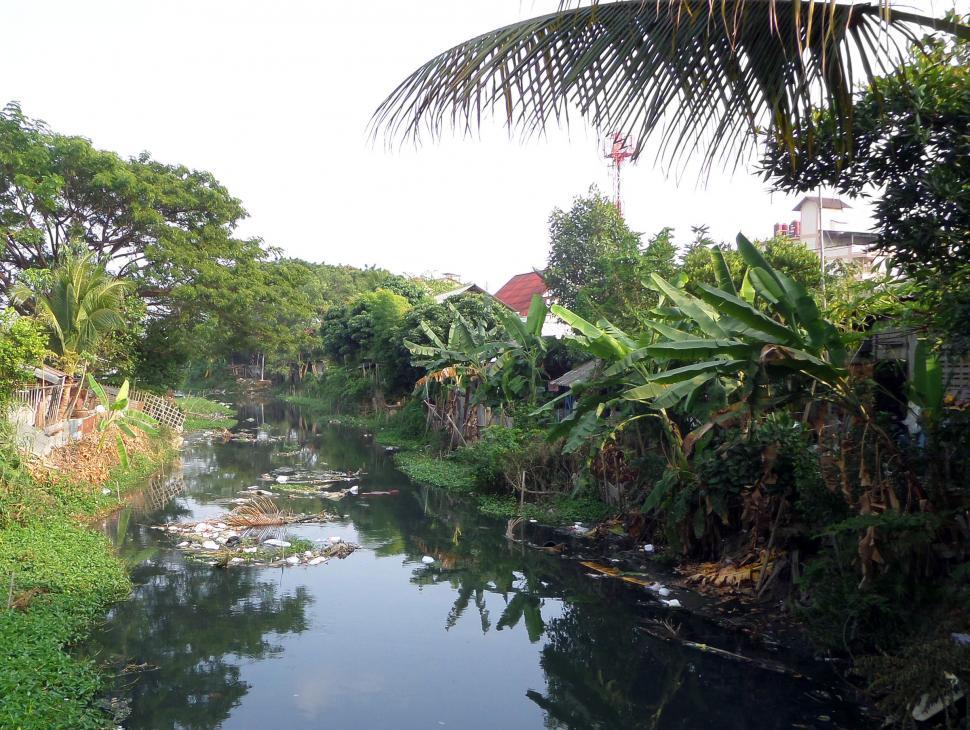 Free Image of Polluted Thai canal 