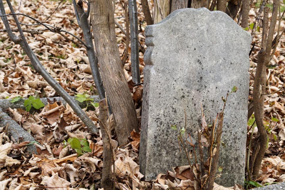 Free Image of Gravestone and trees 