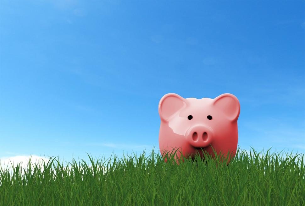 Free Image of Piggy Bank on the Grass - Savings Concept 