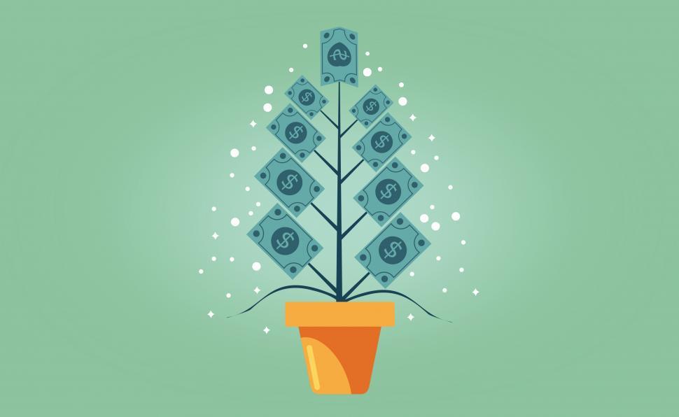 Free Image of Money Growing on a Tree - Capital Appreciation Concept 