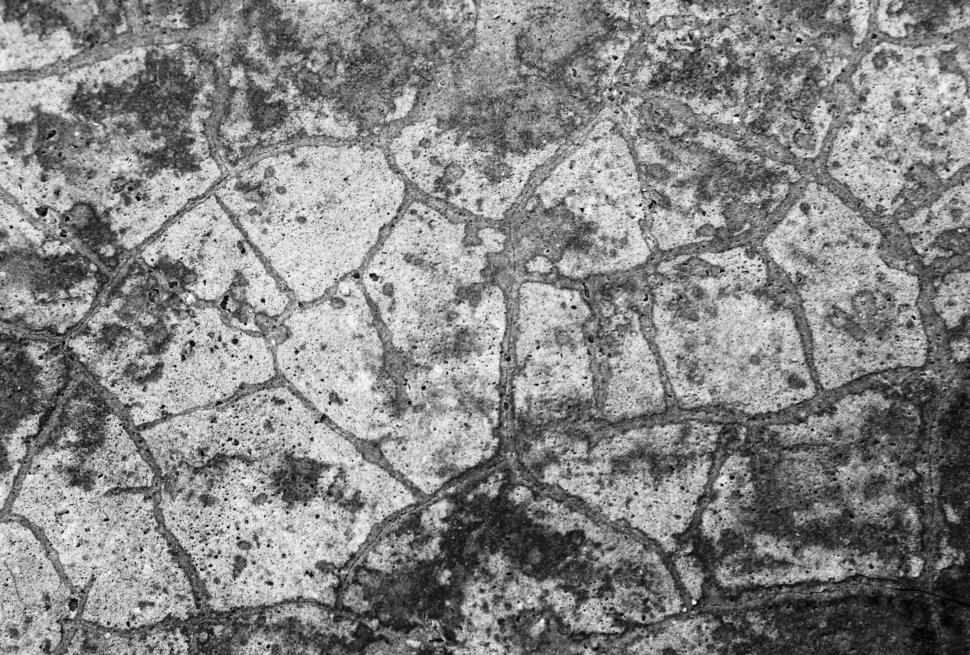 Free Image of Cracked Concrete Texture  
