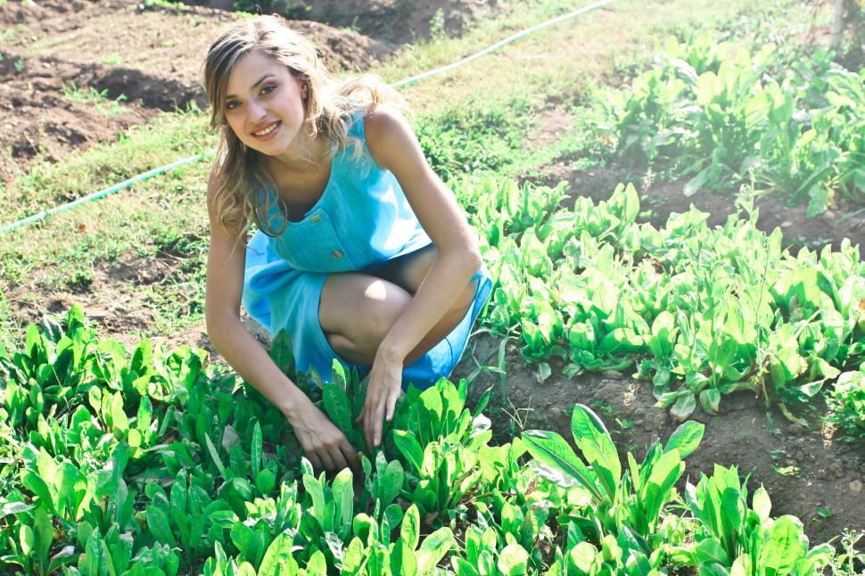 Free Image of A smiling beautiful  young woman plucking herbs in the farm 
