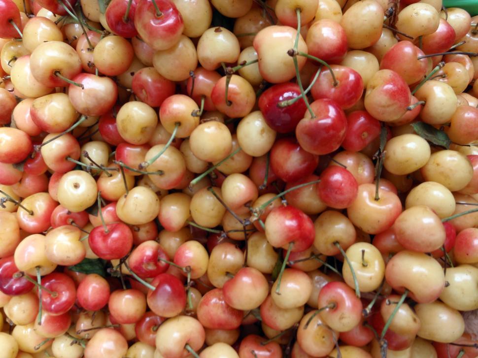 Free Image of Bunch of red and yellow cherry 