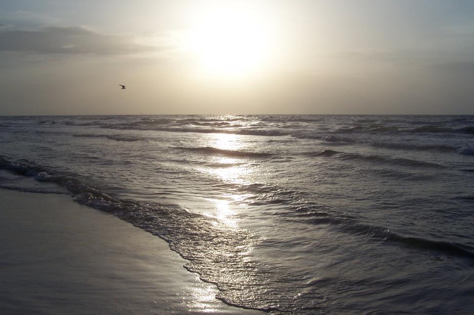 Free Image of Beach Sunset 2 