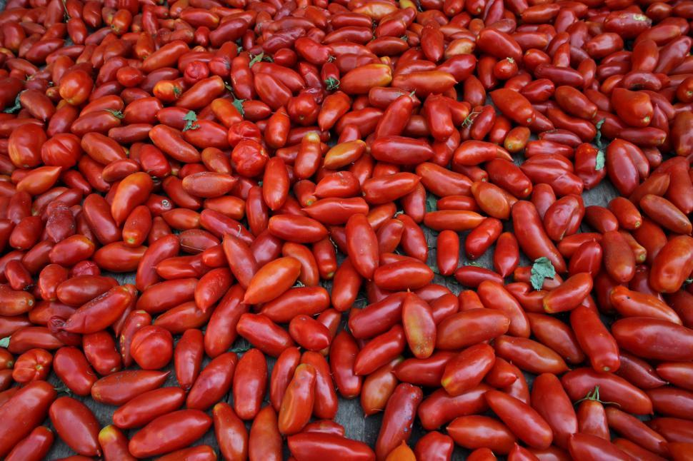 Free Image of Long red tomatoes spread on the floor 