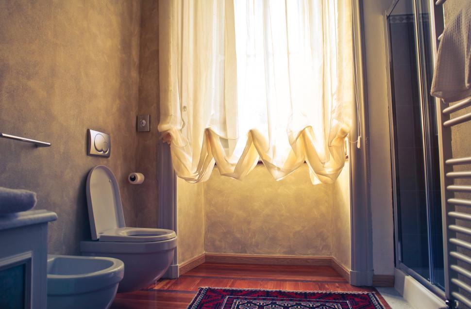 Free Image of Interior of a european toilet 