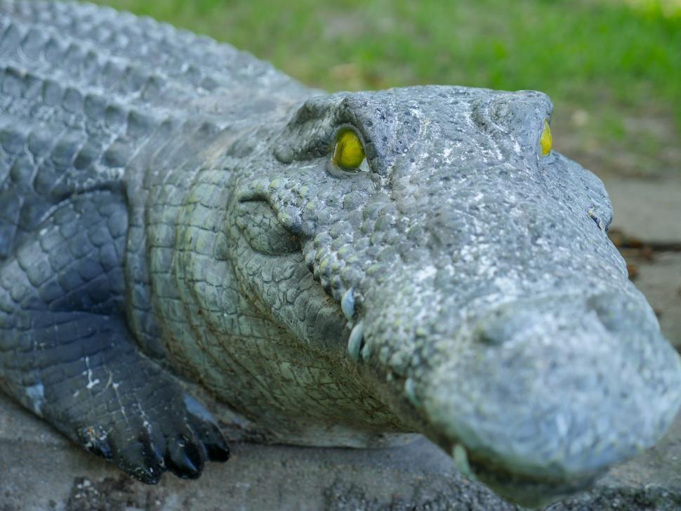 Free Image of Stone alligator 