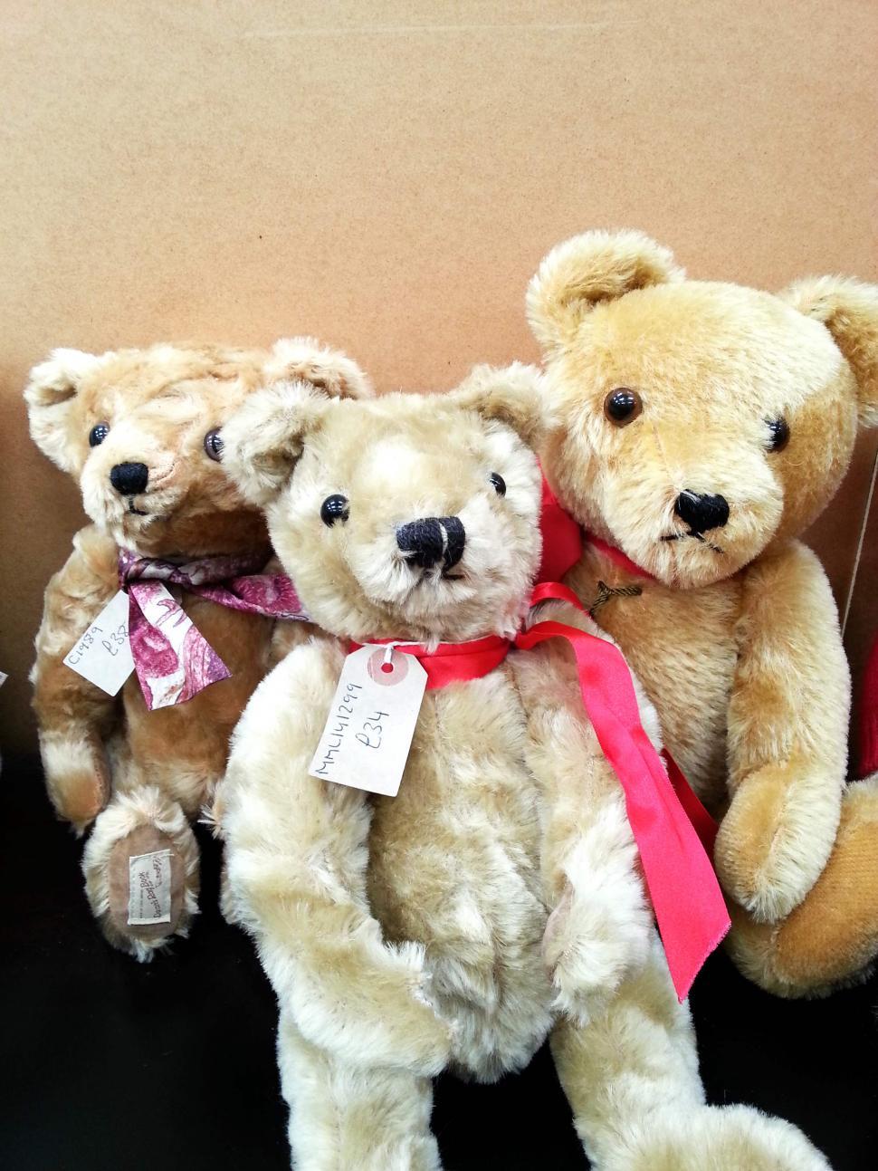 Free Image of Teddy Bears For Sale  