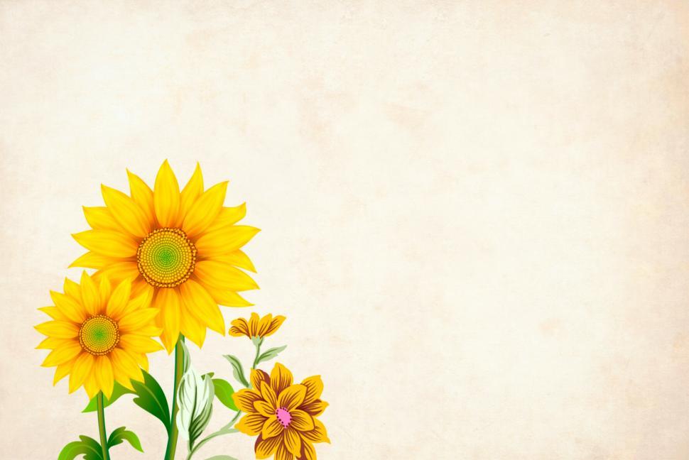 Free Image of yellow flower background with copyspace  