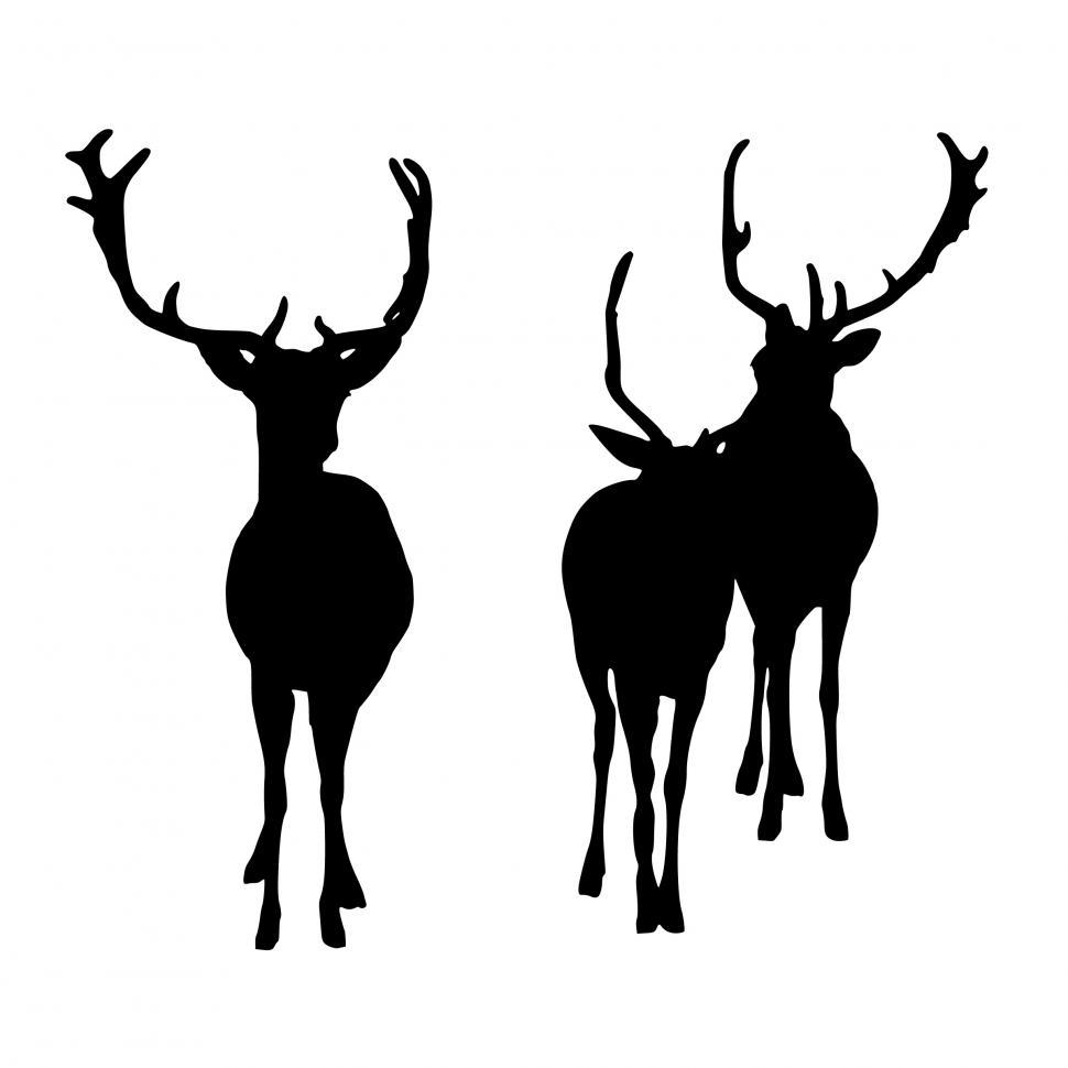 Free Image of deer wildlife silhouette  