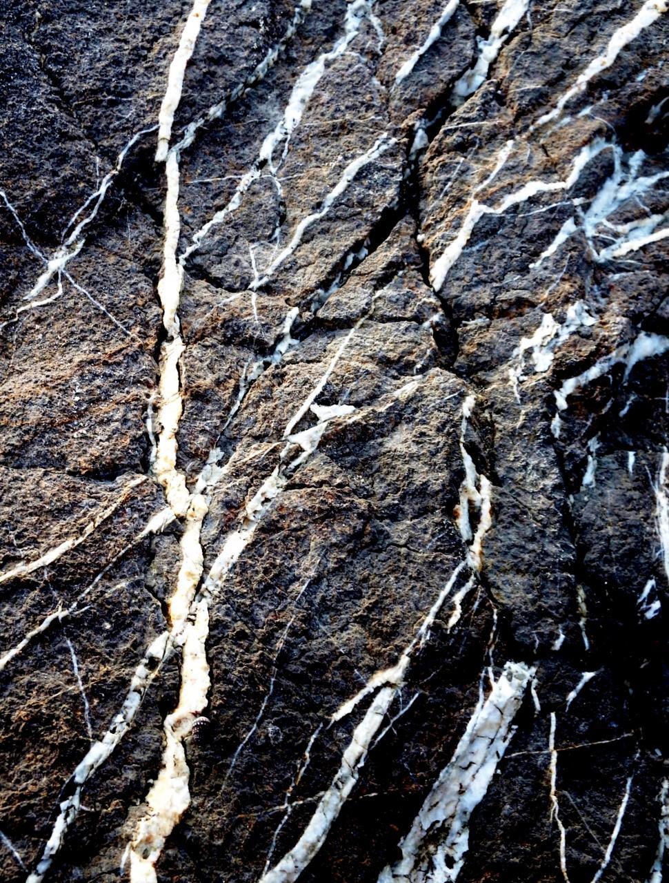 Free Image of Dark black rock texture with white veins running through the boulder  
