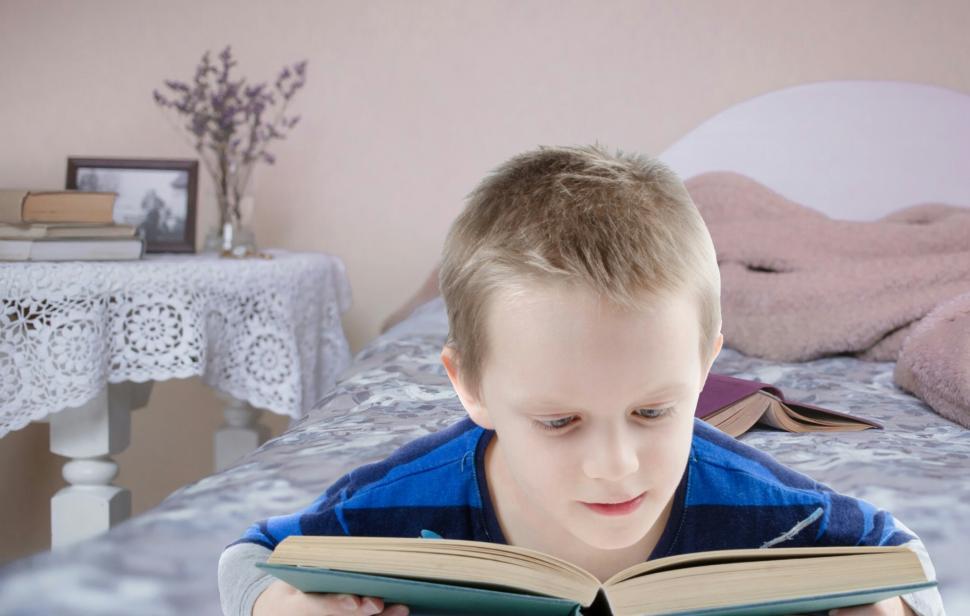 Download Free Stock Photo of boy reading  
