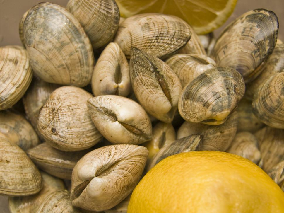 Free Image of A Pile of Shells and a Lemon on a Table 
