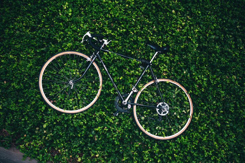 Free Image of A bicycle in the garden 