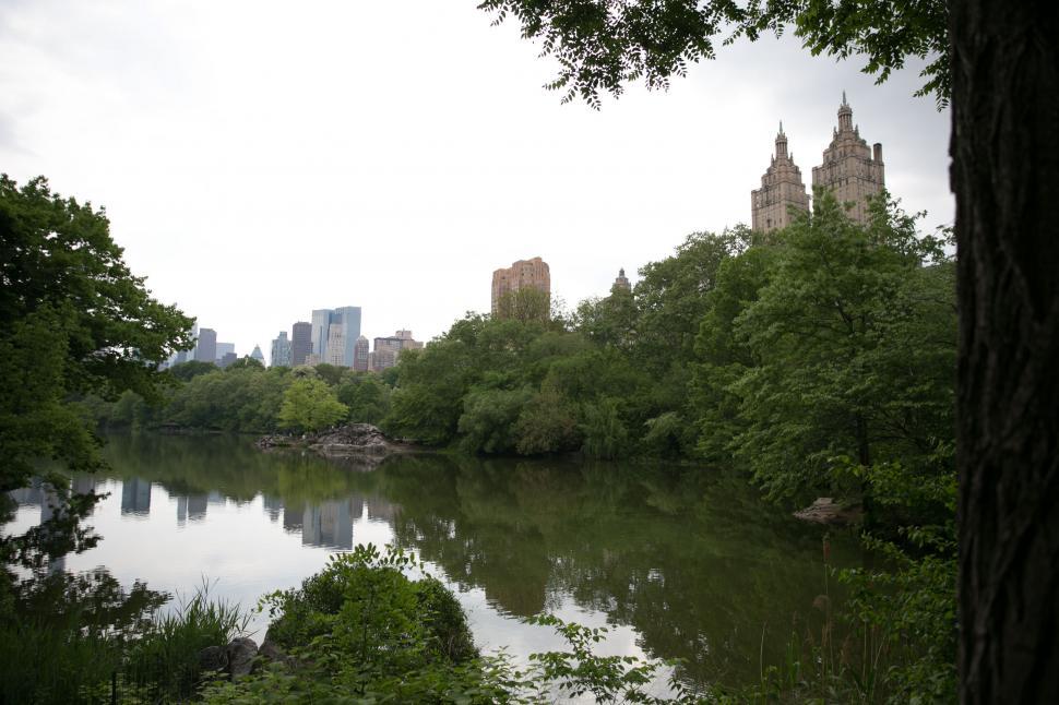 Free Image of Central park pond, New York 