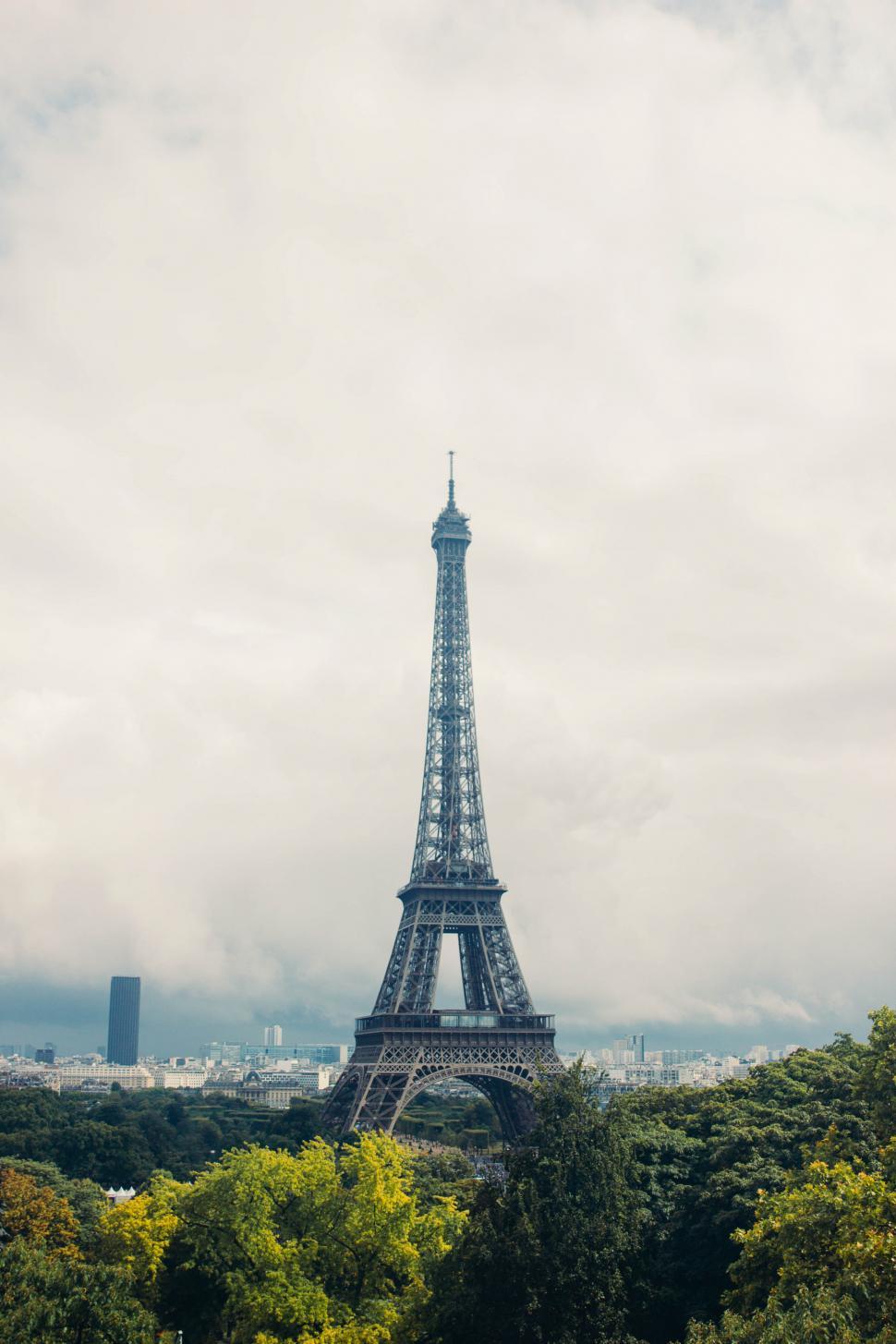 Free Image of Eiffel tower surrounded by trees 
