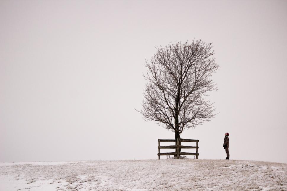 Free Image of A young Caucasian man and a tree on a snowy hill 
