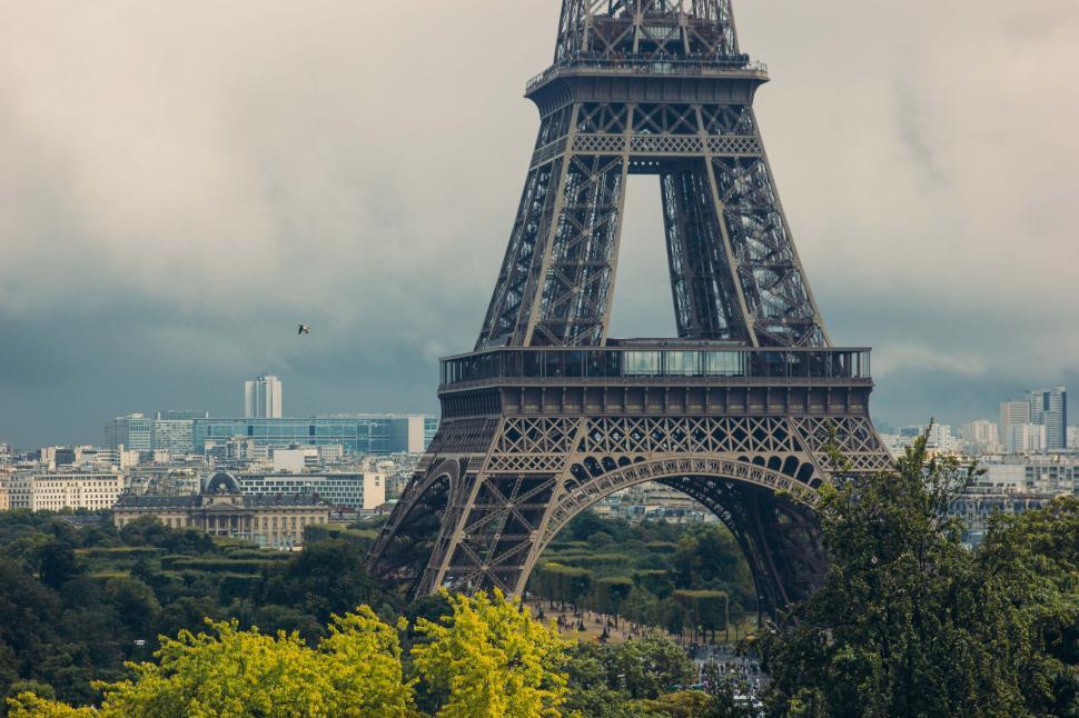 Free Image of Eiffel tower surrounded by trees 