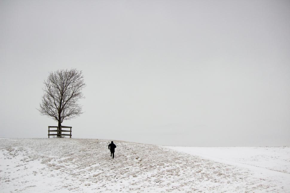 Download Free Stock Photo of A running figure and a tree on a snowy hill 