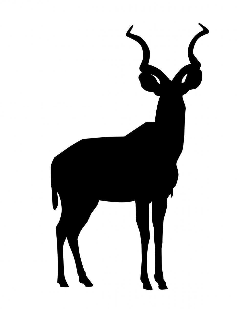 Free Image of kudu Silhouette  