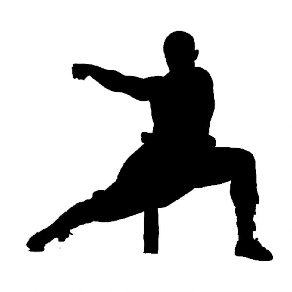 Free Image of Kung Fu Silhouette  