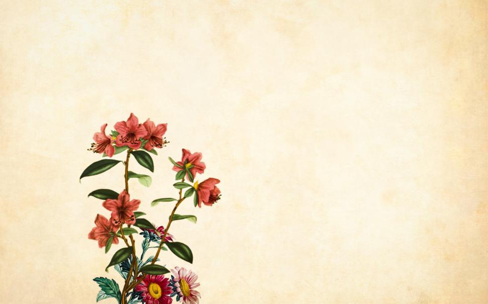Free Image of Simple Flower Background  