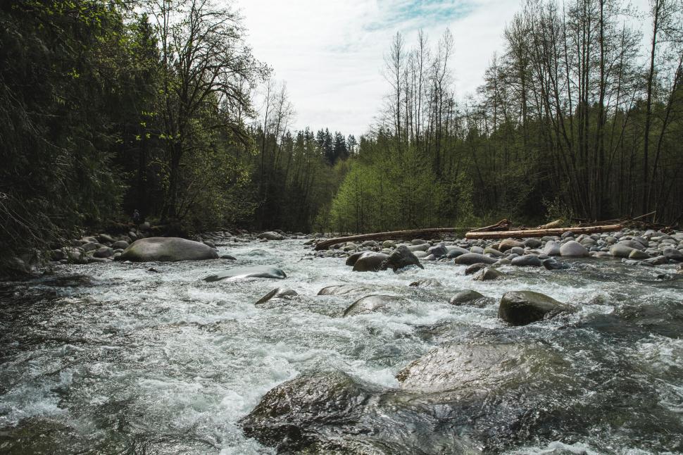 Free Image of River rapids surrounded by pebble stones and trees 