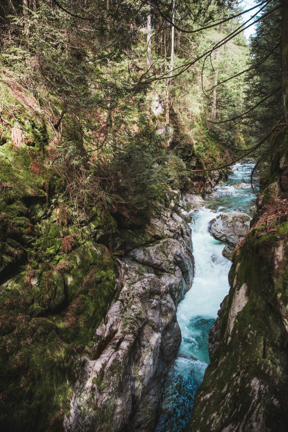 Free Image of A rushing stream in the mountains 